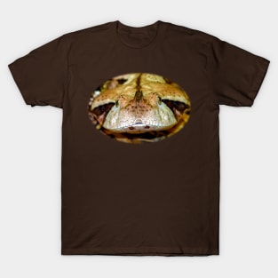 Gaboon Viper T-Shirt